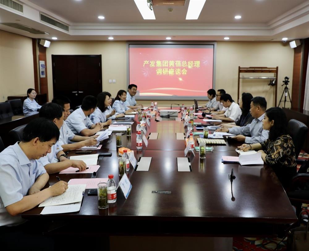 集團黨委副書記、總經(jīng)理黃蓓帶隊調(diào)研濟南市工程咨詢院